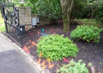 A backyard with trees and bushes and marked ground with orange arrows